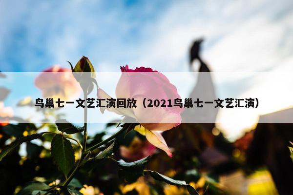 鸟巢七一文艺汇演回放（2021鸟巢七一文艺汇演）