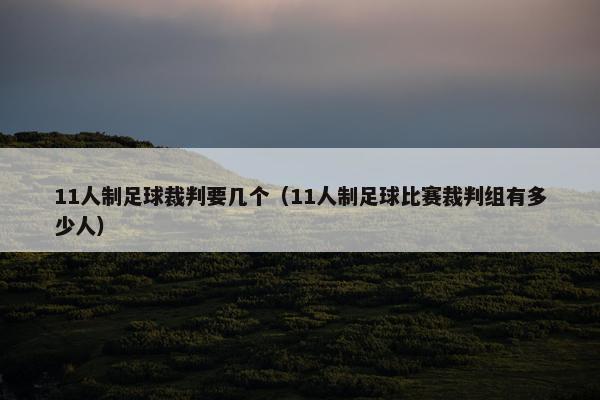 11人制足球裁判要几个（11人制足球比赛裁判组有多少人）