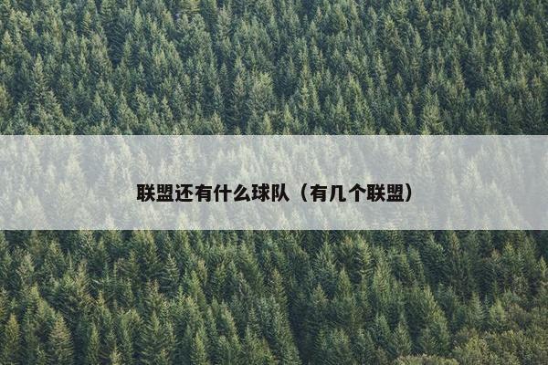 联盟还有什么球队（有几个联盟）
