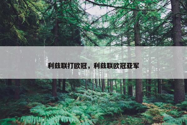 利兹联打欧冠，利兹联欧冠亚军