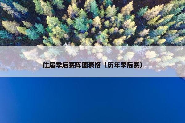 往届季后赛阵图表格（历年季后赛）