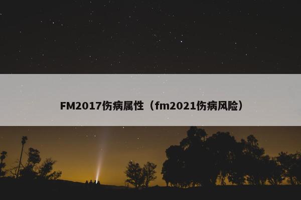 FM2017伤病属性（fm2021伤病风险）