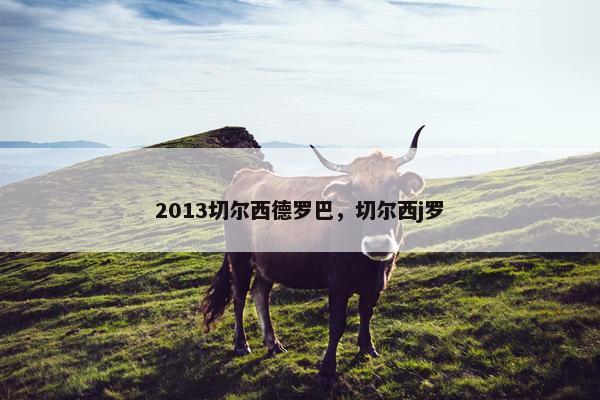 2013切尔西德罗巴，切尔西j罗