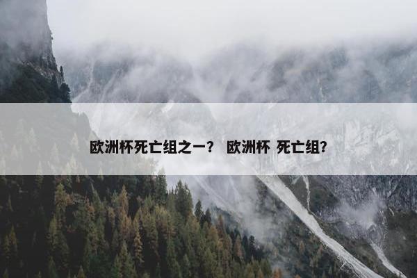 欧洲杯死亡组之一？ 欧洲杯 死亡组？