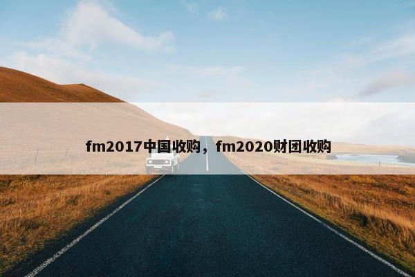fm2017中国收购，fm2020财团收购