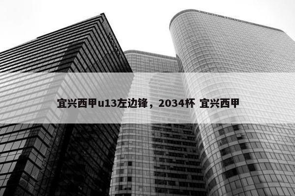 宜兴西甲u13左边锋，2034杯 宜兴西甲