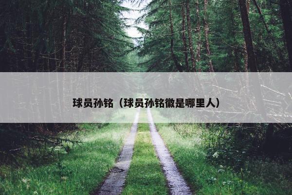 球员孙铭（球员孙铭徽是哪里人）