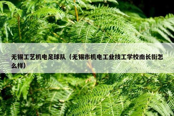 无锡工艺机电足球队（无锡市机电工业技工学校南长街怎么样）