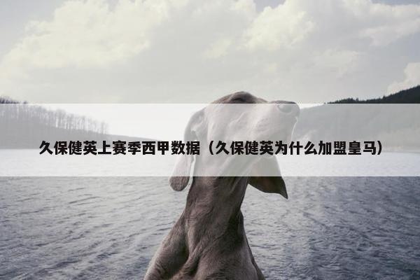 久保健英上赛季西甲数据（久保健英为什么加盟皇马）