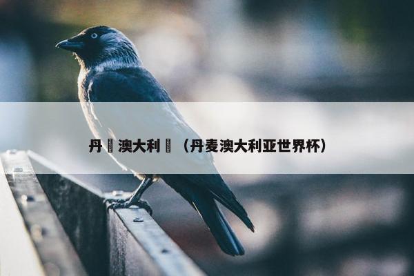 丹麥澳大利亞（丹麦澳大利亚世界杯）