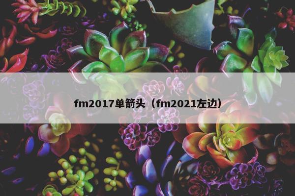 fm2017单箭头（fm2021左边）
