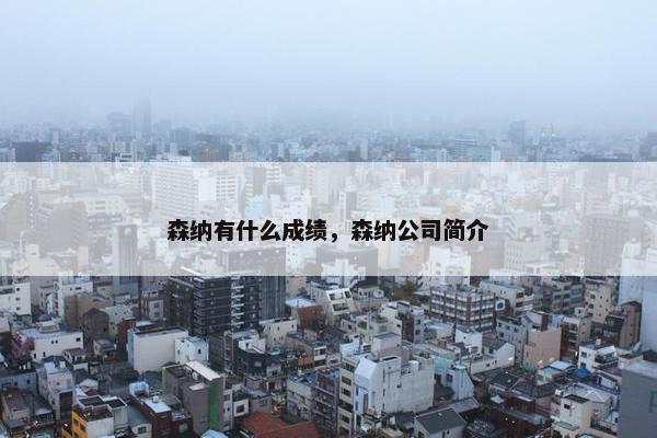 森纳有什么成绩，森纳公司简介