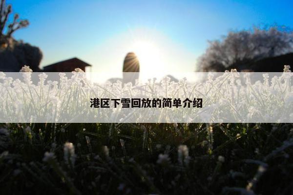 港区下雪回放的简单介绍