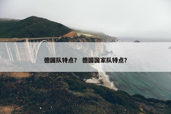 德国队特点？ 德国国家队特点？