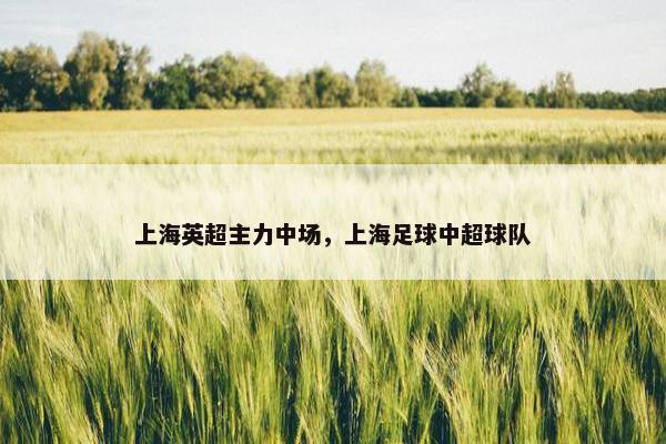 上海英超主力中场，上海足球中超球队