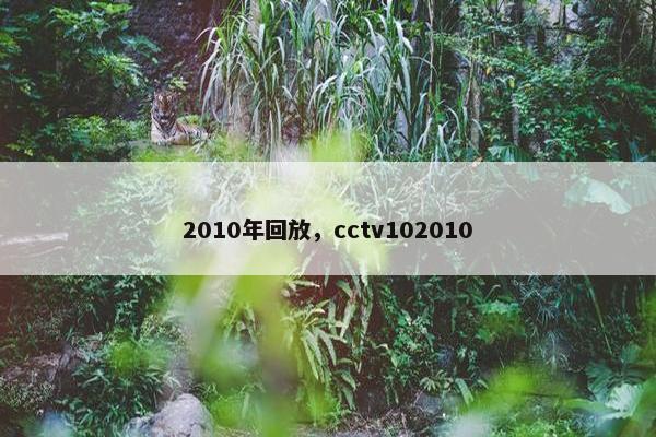 2010年回放，cctv102010
