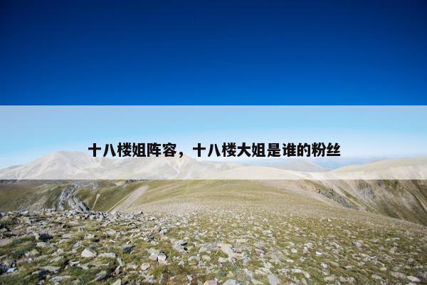 十八楼姐阵容，十八楼大姐是谁的粉丝