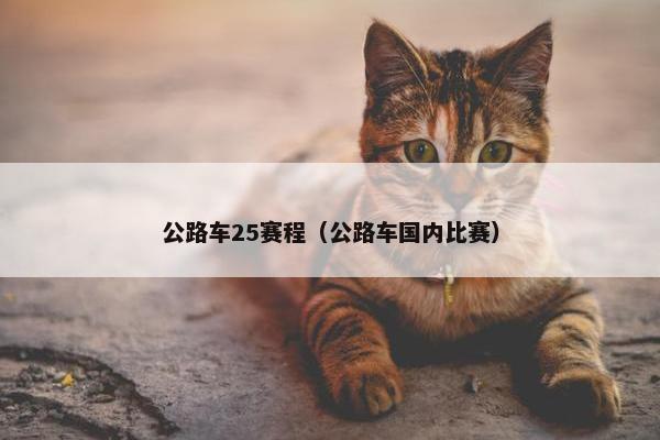 公路车25赛程（公路车国内比赛）