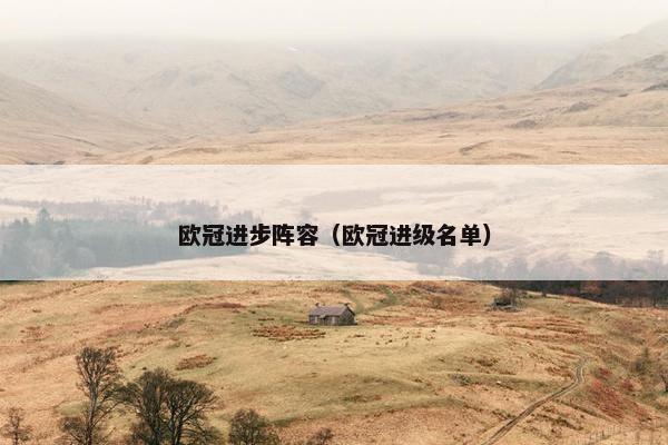 欧冠进步阵容（欧冠进级名单）