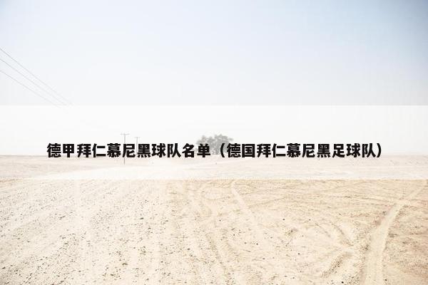 德甲拜仁慕尼黑球队名单（德国拜仁慕尼黑足球队）