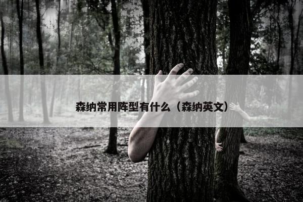森纳常用阵型有什么（森纳英文）