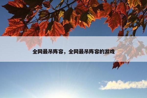 全网最吊阵容，全网最吊阵容的游戏