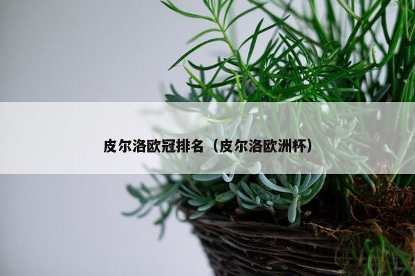 皮尔洛欧冠排名（皮尔洛欧洲杯）