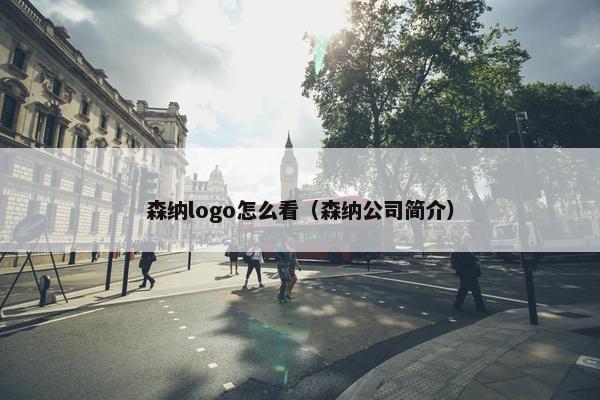 森纳logo怎么看（森纳公司简介）