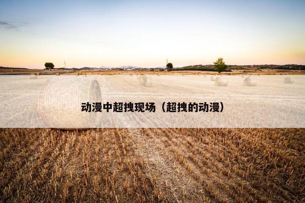 动漫中超拽现场（超拽的动漫）