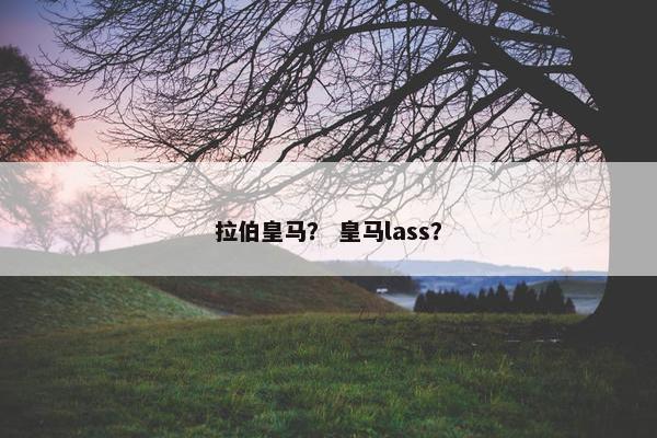 拉伯皇马？ 皇马lass？