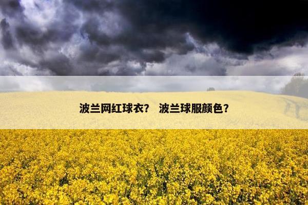 波兰网红球衣？ 波兰球服颜色？