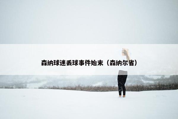 森纳球迷丢球事件始末（森纳尔省）