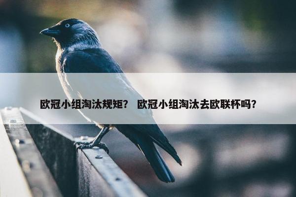 欧冠小组淘汰规矩？ 欧冠小组淘汰去欧联杯吗？