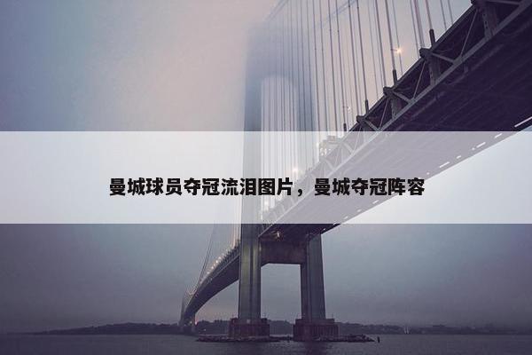 曼城球员夺冠流泪图片，曼城夺冠阵容