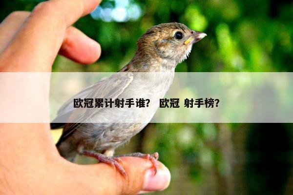 欧冠累计射手谁？ 欧冠 射手榜？