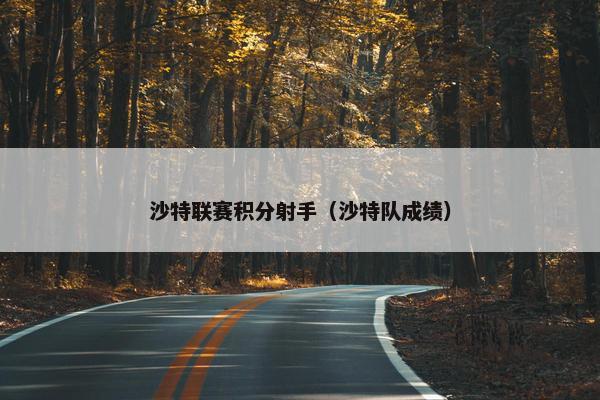 沙特联赛积分射手（沙特队成绩）