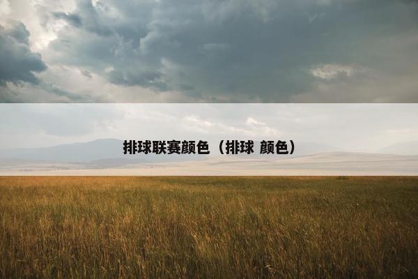 排球联赛颜色（排球 颜色）