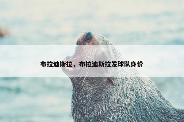 布拉迪斯拉，布拉迪斯拉发球队身价
