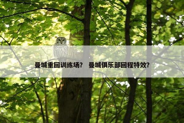 曼城重回训练场？ 曼城俱乐部回程特效？