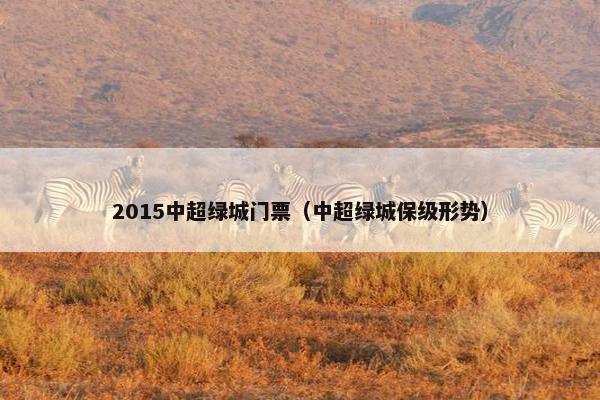 2015中超绿城门票（中超绿城保级形势）