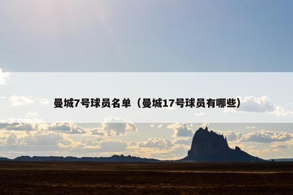 曼城7号球员名单（曼城17号球员有哪些）