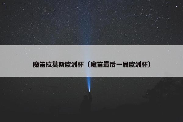 魔笛拉莫斯欧洲杯（魔笛最后一届欧洲杯）