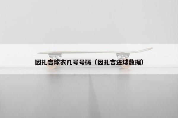 因扎吉球衣几号号码（因扎吉进球数据）