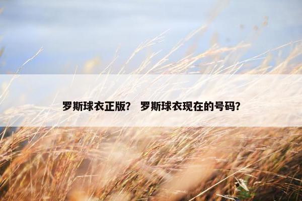 罗斯球衣正版？ 罗斯球衣现在的号码？