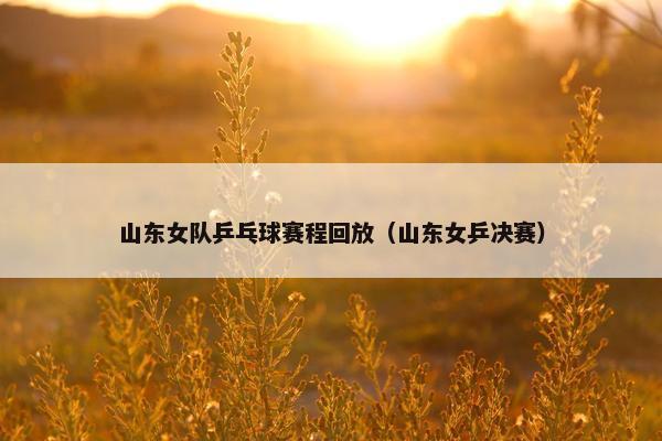 山东女队乒乓球赛程回放（山东女乒决赛）