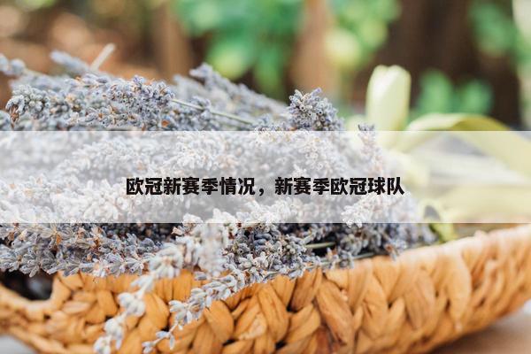 欧冠新赛季情况，新赛季欧冠球队