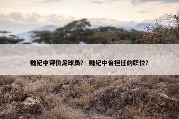 魏纪中评价足球员？ 魏纪中曾担任的职位？