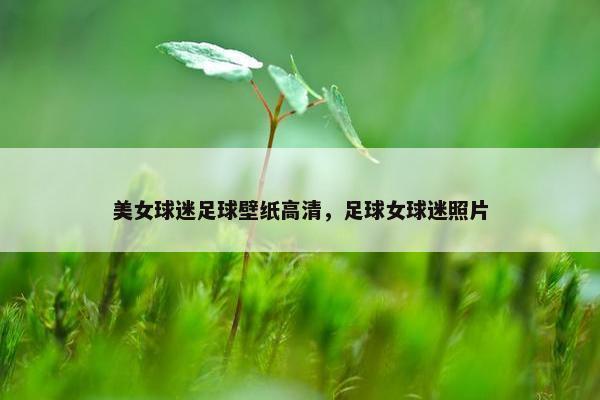 美女球迷足球壁纸高清，足球女球迷照片