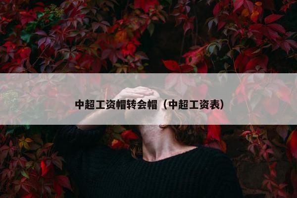中超工资帽转会帽（中超工资表）