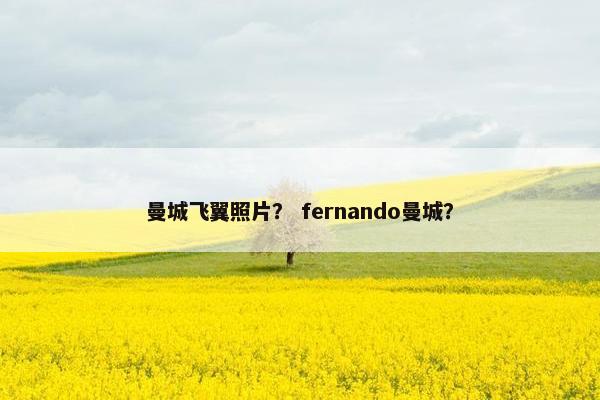 曼城飞翼照片？ fernando曼城？